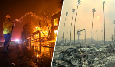 LA County survey seeks input on Eaton and Palisades Fire recovery – NBC Los Angeles