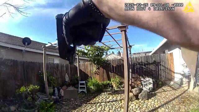 In an image taken from bodyworn camera footage, a Yuba City police officer points his gun at Guillermo Figueroa, who is lying down in front of a statue of the Virgin Mary in the front yard of a home in Yuba City during an encounter that led to an officer-involved shooting on Feb. 26, 2026.