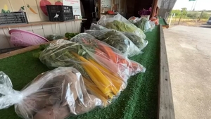 Valley Heat Speeds Up Crop Growth, Concerns Rise for Winter Vegetables