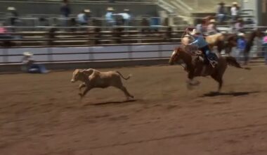 Clovis Rodeo Board Votes to Not Include Breakaway Roping for 2026
