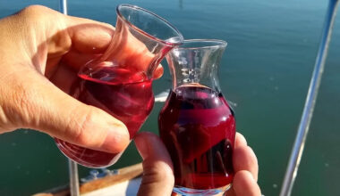 California's Sacramento River Cruise Is A Scenic Experience With Serene Vibes And Wine Tastings