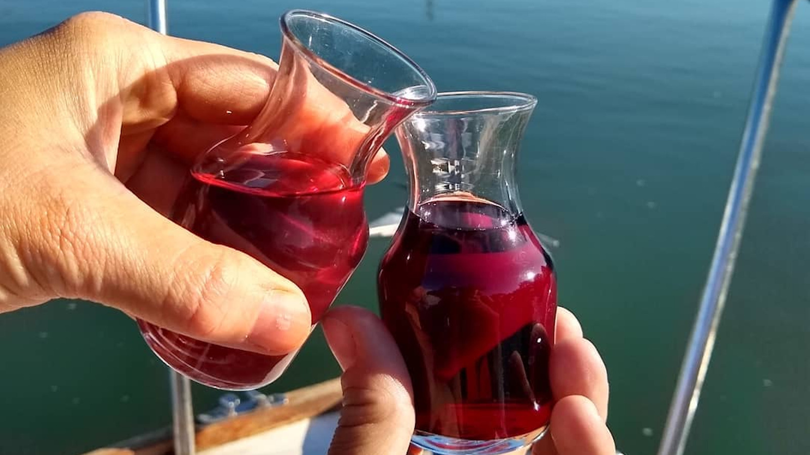 California's Sacramento River Cruise Is A Scenic Experience With Serene Vibes And Wine Tastings