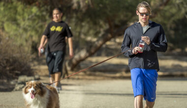 Hands-Down The Best Hiking Trail In Los Angeles For Celebrity Spotting