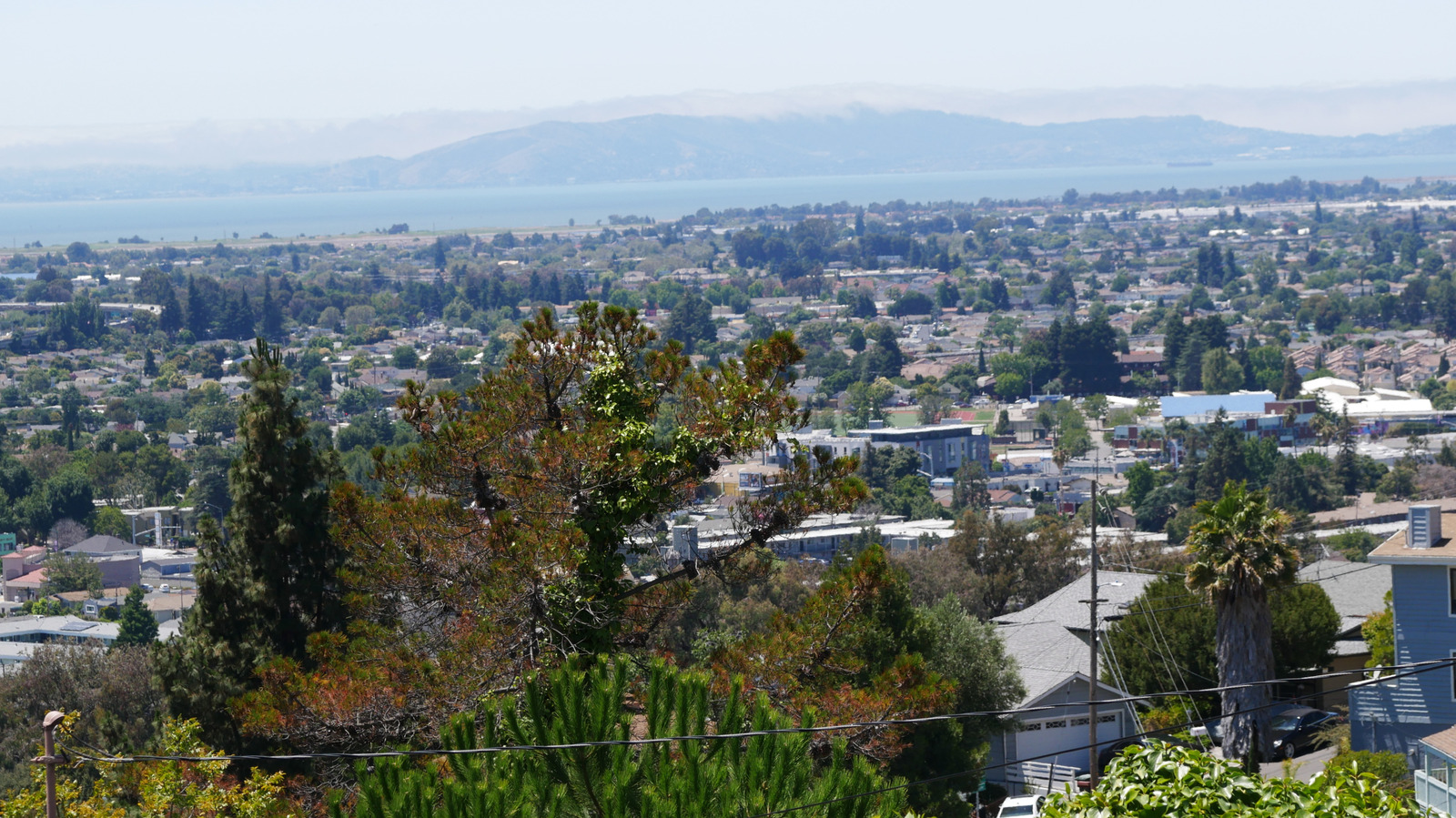 Tucked Between Oakland And Fremont Is A Lively Community With A Walkable Downtown And Tasty Eats