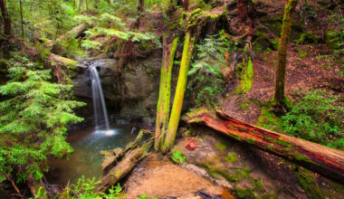 California's Oldest State Park Just Got Bigger By Adding Acres With A Colorful History