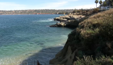 Extreme heat warning remains in effect as heat wave lingers – NBC 7 San Diego