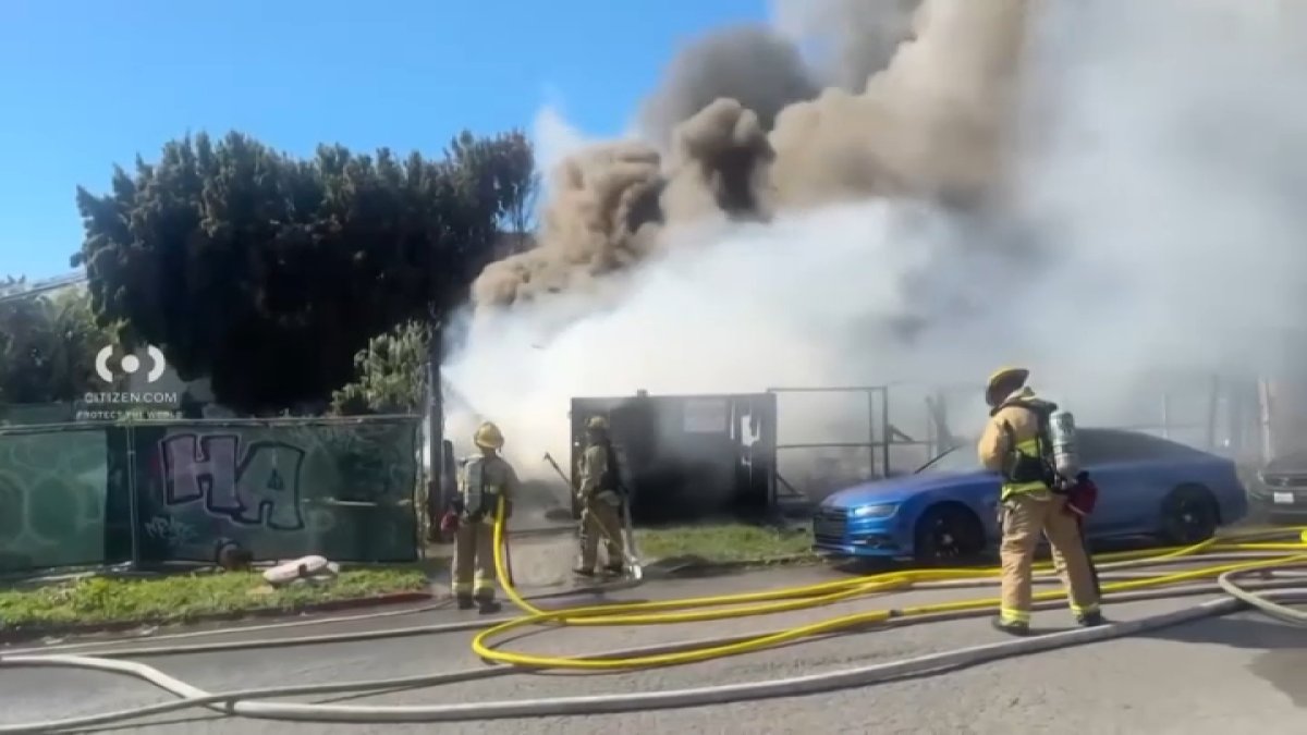 House fire kills 2 dogs in Larchmont, leaves family devastated – NBC Los Angeles