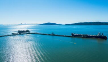 Sand removal in the Bay threatens species and worsens coastal erosion, lawsuit claims