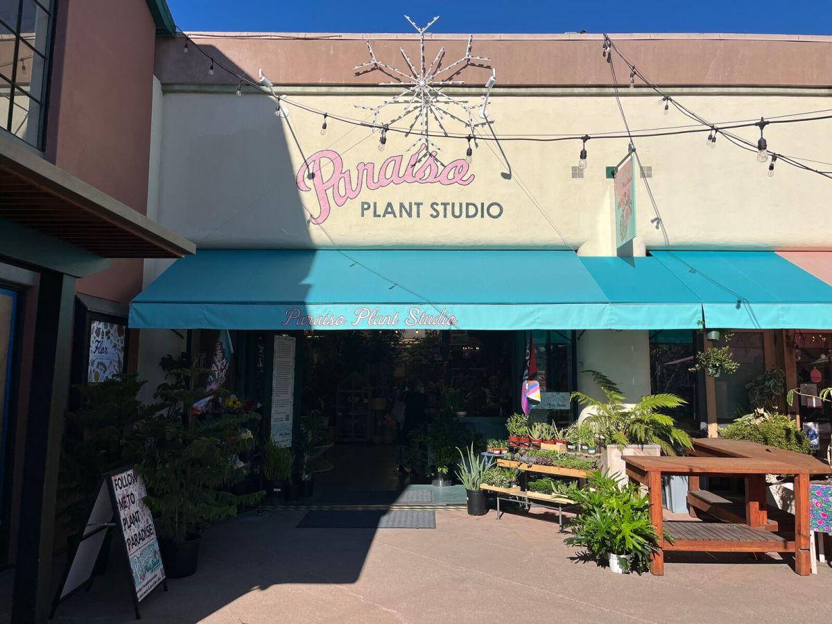 Shop Talk: Paraíso Plant Studio moves into former Market Hall space; American Giant, Vans close on Fourth Street 