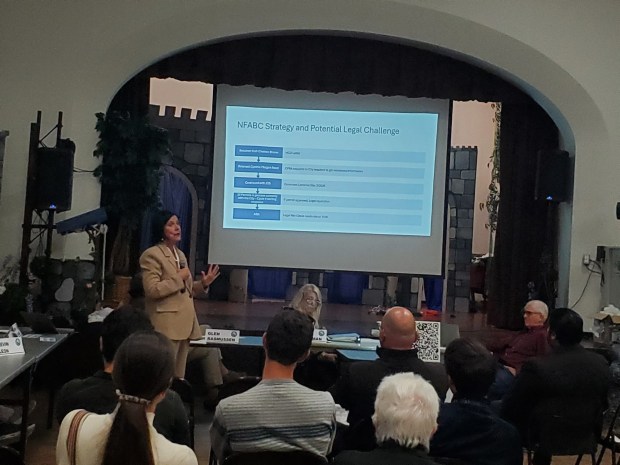 Neighbors for a Better California Chairwoman Marcella Bothwell addresses the La Jolla Community Planning Association during its March 5 meeting at the La Jolla Recreation Center. (Ashley Mackin-Solomon)