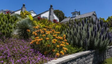 Secret Garden Tour to return in May, with more chances to ‘curate your own experience’ – San Diego Union-Tribune