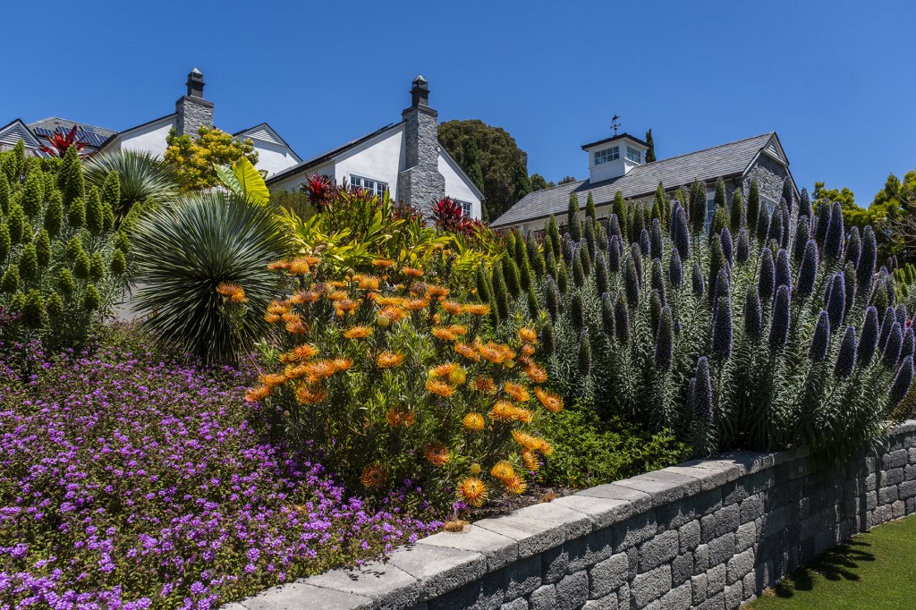 Secret Garden Tour to return in May, with more chances to ‘curate your own experience’ – San Diego Union-Tribune