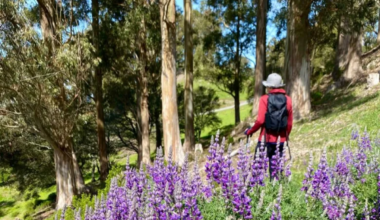 Chand Raat night market, flower talk, Japanese taiko