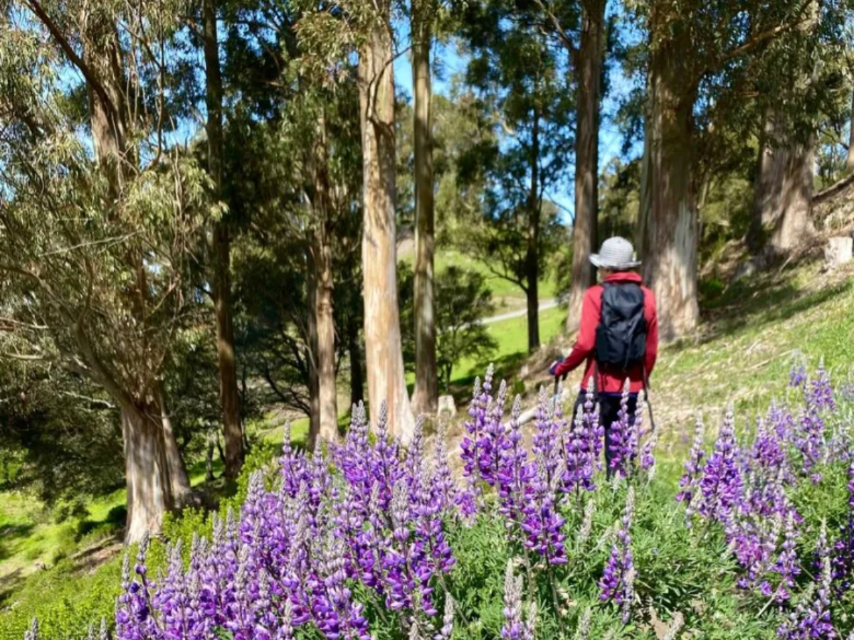 Chand Raat night market, flower talk, Japanese taiko