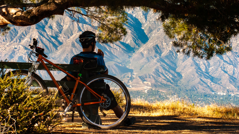 A cyclist munches a snack beneath a tree's shade while gazong on ruffled California mountains