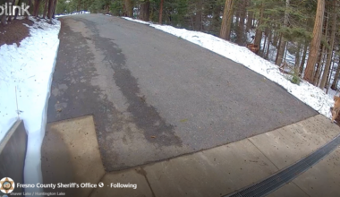 Mountain lions near Fresno CA: See video at Shaver Lake home