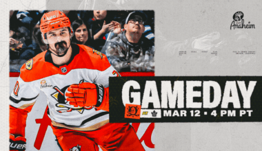 PREVIEW: Ducks Look to Keep It Going Tonight in Toronto