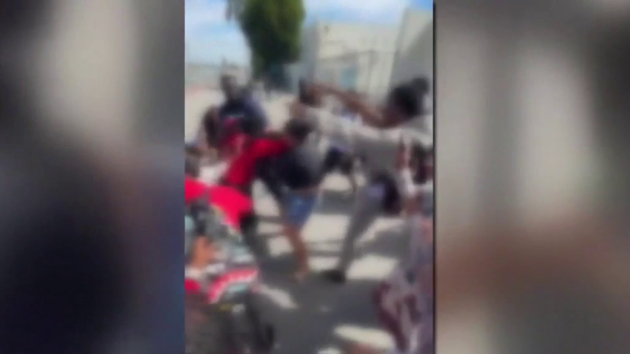 Staff member accused of starting fights