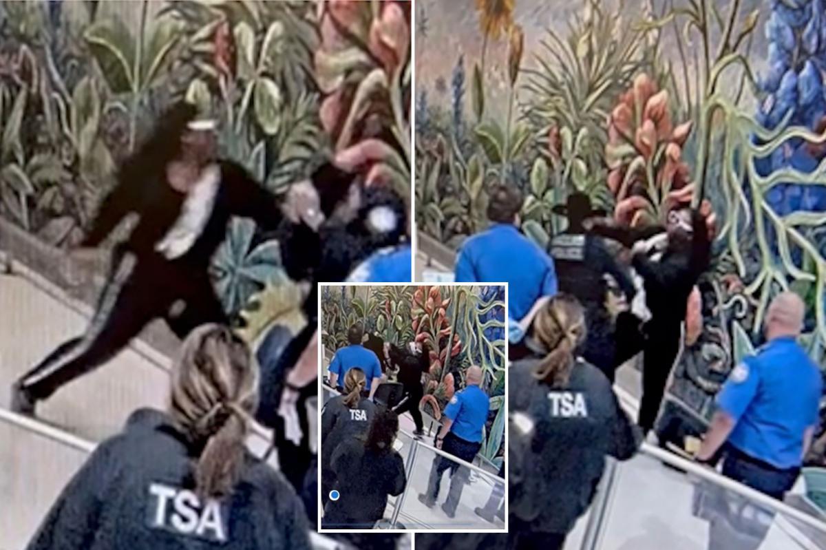 California man Idress Solomon accused of attacking TSA officers, seriously injuring Dallas cop at airport