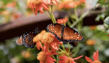 10 Things To Do For This Sunday in L.A. [3-22-2026]