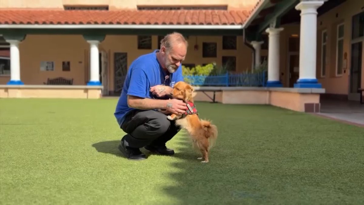 Father Joe’s Villages helping people and their pets stay together – NBC 7 San Diego
