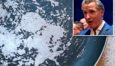 NY pols push for ban on nonstick cookware -- that even lefty Calif. Gov. Gavin Newson nixed