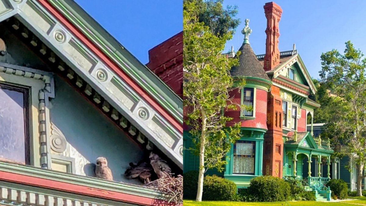 Heritage Square’s spring is so very fall – NBC Los Angeles