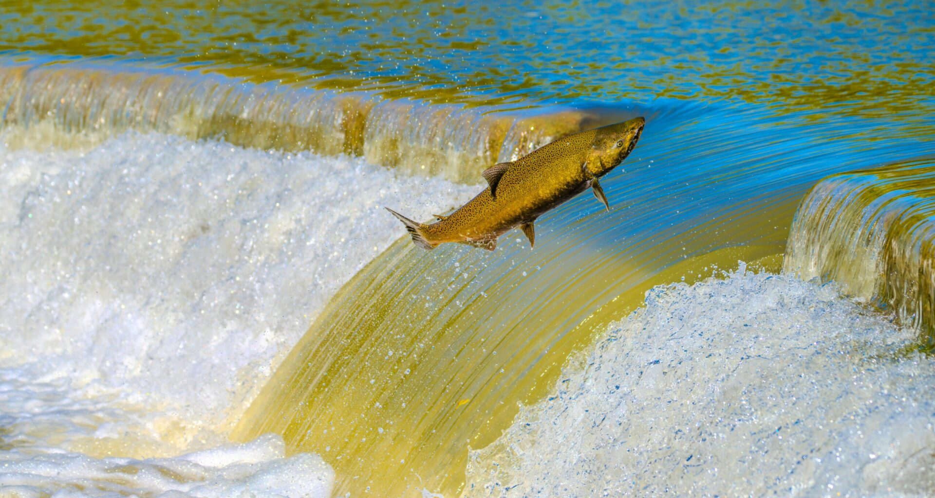 The Many Benefits of Dredging the Sacramento-San Joaquin Delta