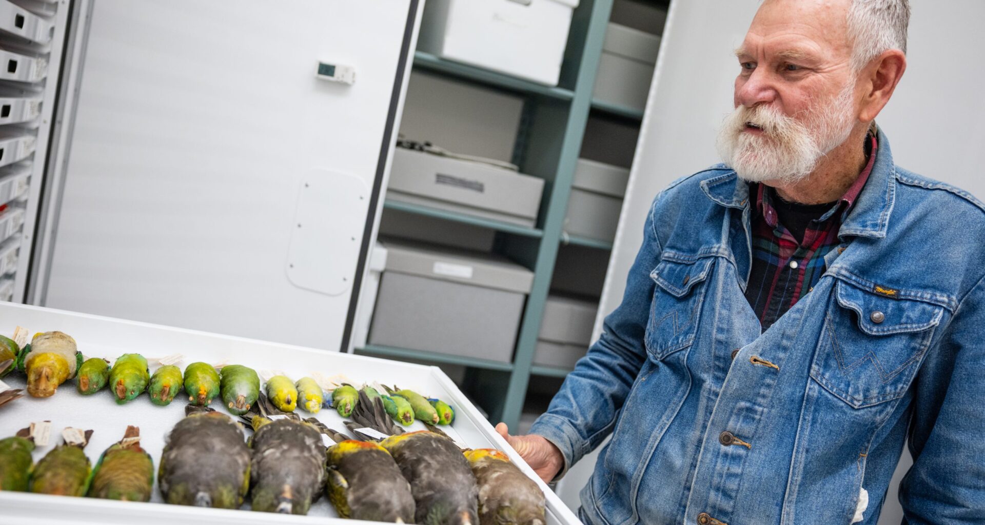 A Conversation with San Diego's Bird Wizard