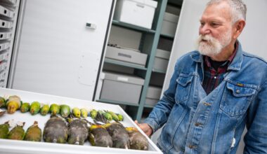 A Conversation with San Diego's Bird Wizard