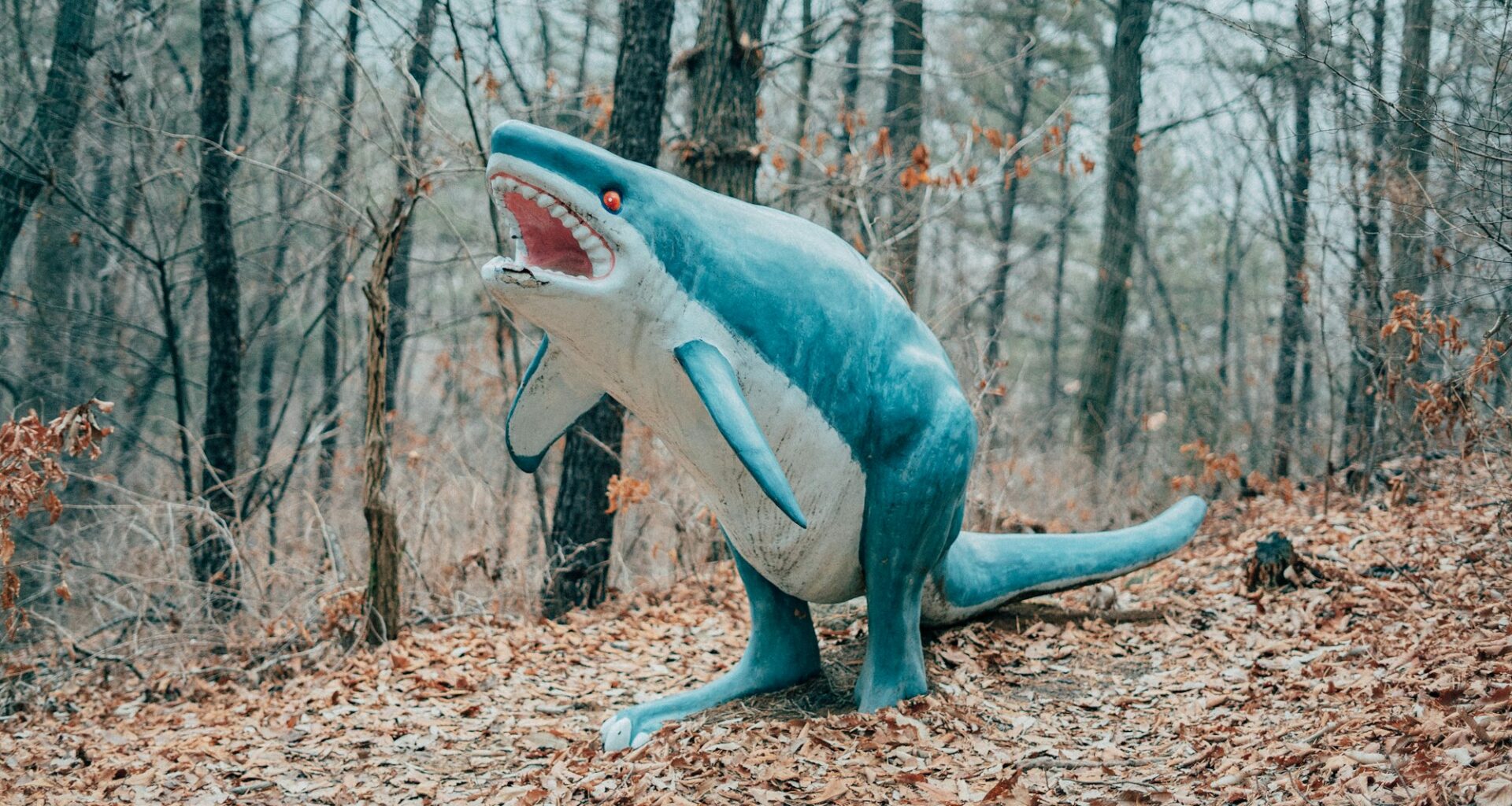 San Jose Sharks @ Ottawa Senators