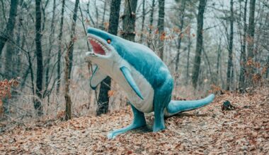 San Jose Sharks @ Ottawa Senators