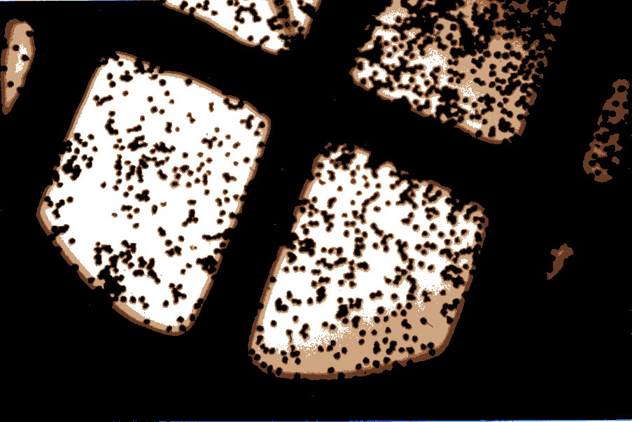 Could the Prescott Greening Project lead to too much pollen? 