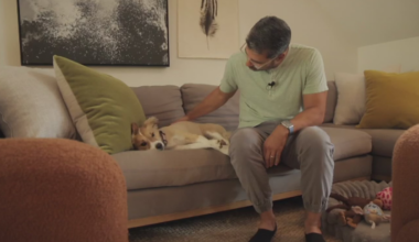 California vet warns of deadly raccoon roundworm parasite after treating infected dog: "Never seen a case like this"