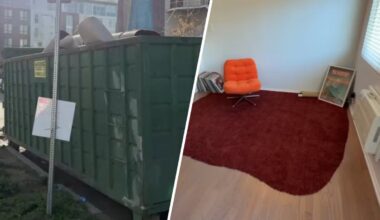 Discarded Oscars red carpet gets new life in Hollywood apartment – NBC Los Angeles