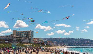 redondo-kite-festival
