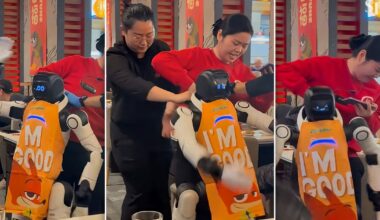 Robot Goes Berserk in California Restaurant, Dragged Away by Staff After Smashing Tableware