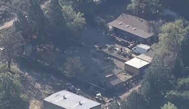 Warrant Served at Animal Rescue in Lake Hughes, 300-Plus Dogs, Cats Seized