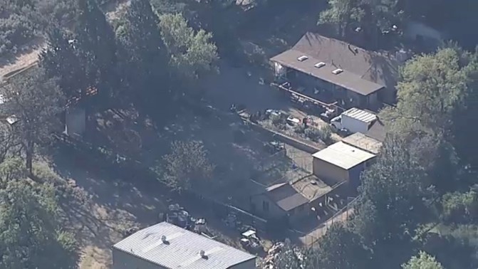 Warrant Served at Animal Rescue in Lake Hughes, 300-Plus Dogs, Cats Seized