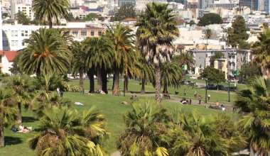 8 arrested in San Francisco's Dolores Park stabbing