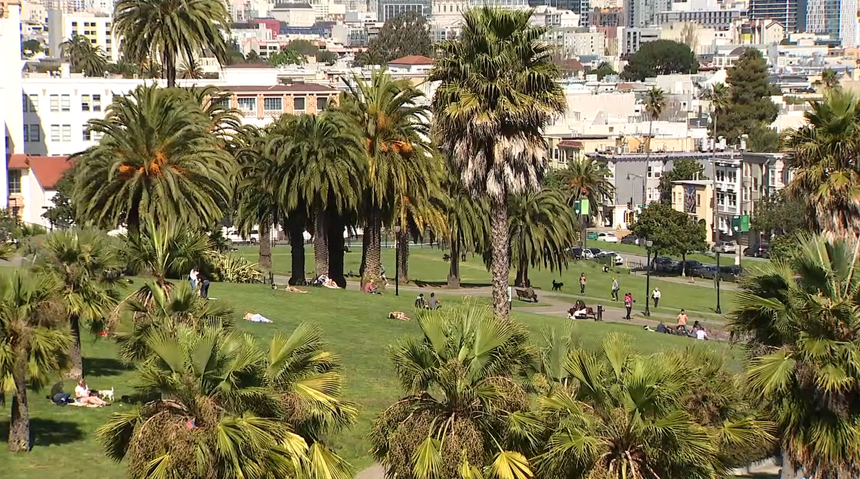 8 arrested in San Francisco's Dolores Park stabbing