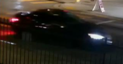 LAPD detectives seek help finding hit-and-run driver who killed 24-year-old woman in 2023