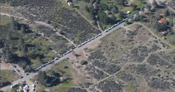 Los Angeles County property has about 700 cats and dogs seized by animal control