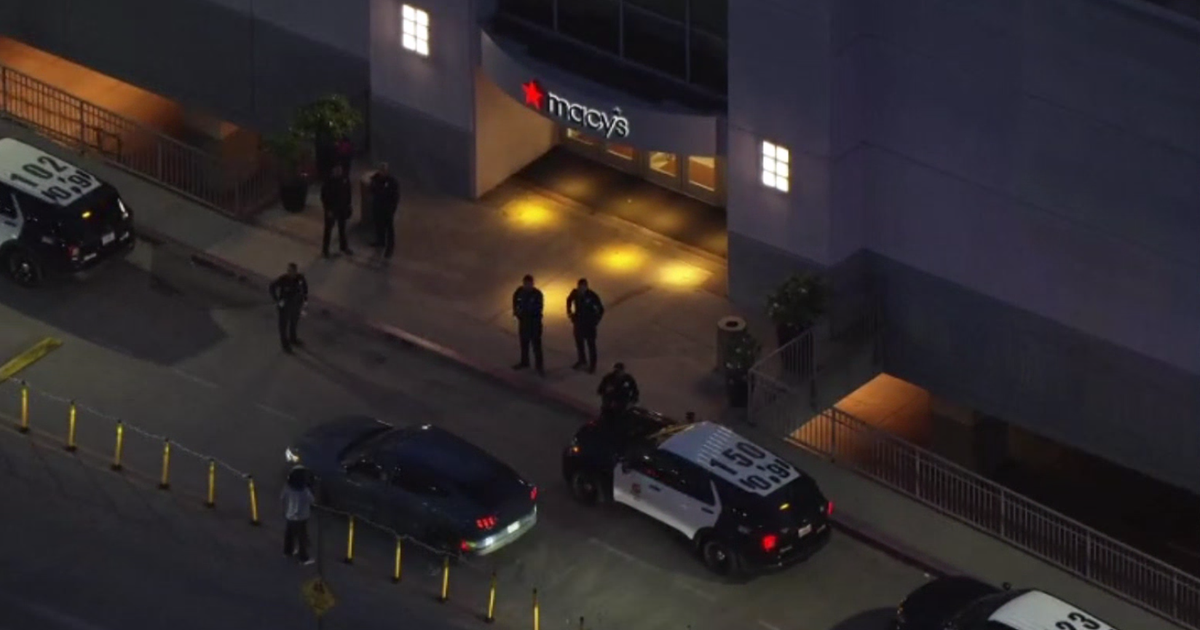 Smash-and-grab robbery at Westfield Fashion Square in Sherman Oaks forces temporary shelter-in-place for shoppers