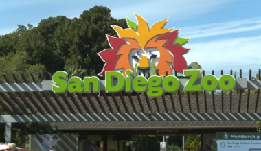 San Diego Zoo to pay city $3 million a year under lease agreement – NBC 7 San Diego