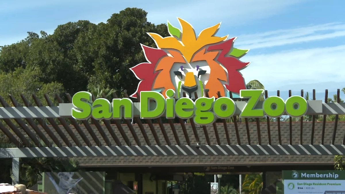 San Diego Zoo to pay city $3 million a year under lease agreement – NBC 7 San Diego