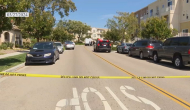 15-year-olds hired as cartel ‘gunmen’ who tried to kill victim twice will learn fate – NBC 7 San Diego