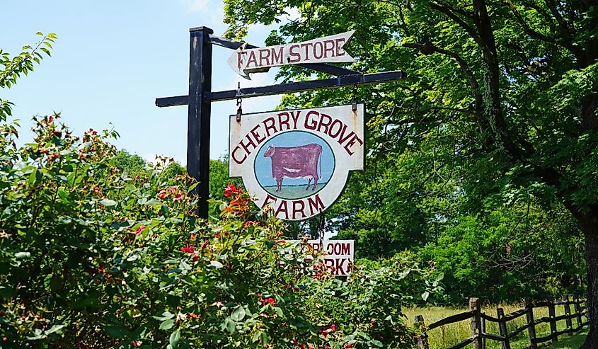 Cherry Grove Farm, a farmstead creamery making cheese in Lawrenceville, New Jersey.
