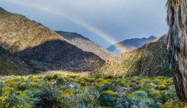 2 San Diego County Parks In Running For California's Best