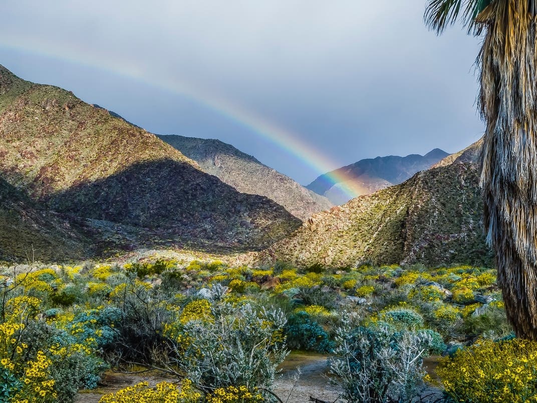 2 San Diego County Parks In Running For California's Best